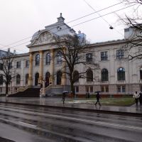 The Latvian National Museum of Art – BUT-SAN asansör butonu ve kaset referansı